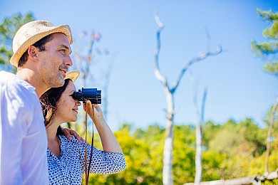 Les Près-Salès d'Arès et de Lège - Réserve Nat ...