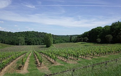 Excursion en Entre-Deux-Mers