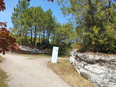 Balade à roulettes - Jardin Botanique - Bordea ...