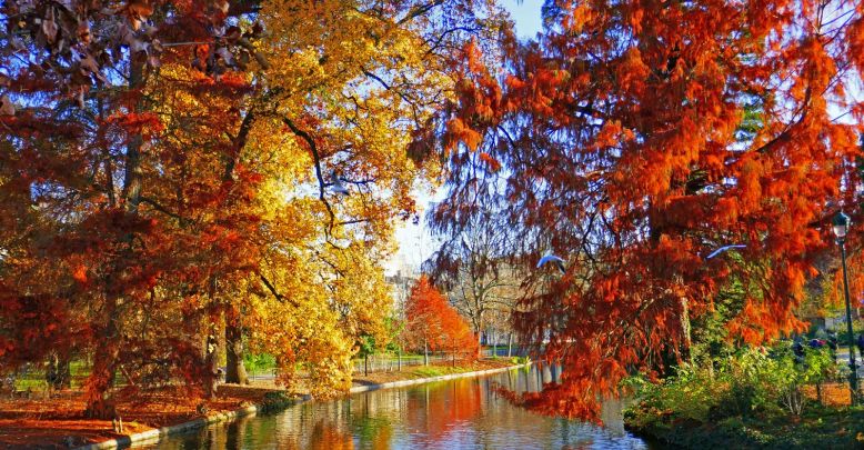 What to do in autumn in Bordeaux and Gironde?  ...