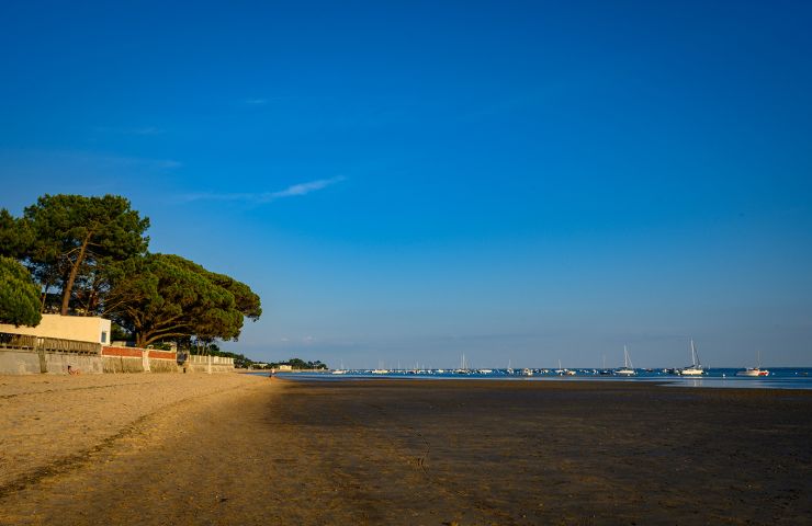 Sites des Quinconces, Saint-Brice et Le Coulin