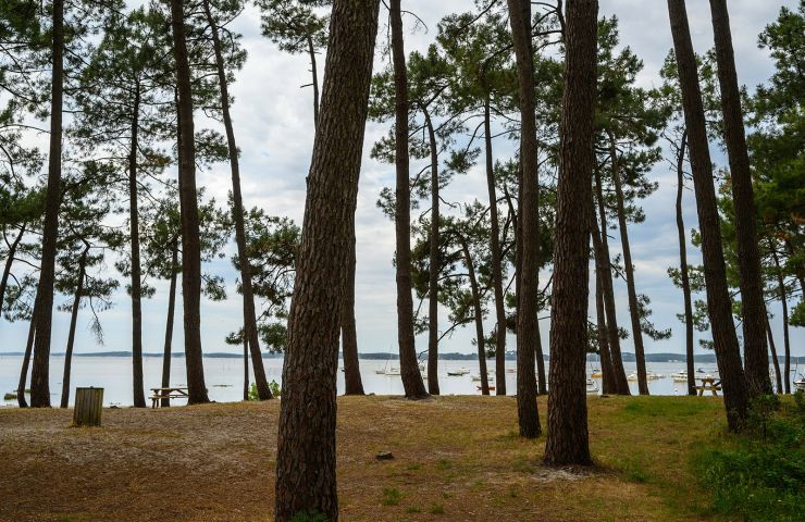 Domaine de Saint-Brice