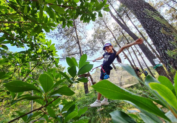 Bassin Aventures, an exceptional tree climbing ...