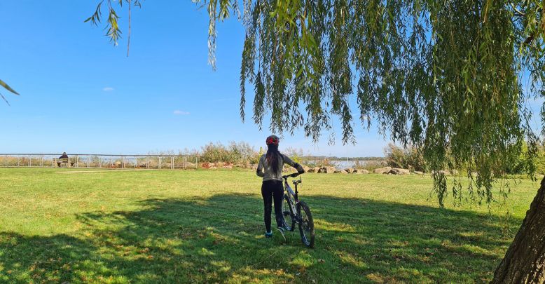 Take your bike, let’s go: greenways and cyclin ...