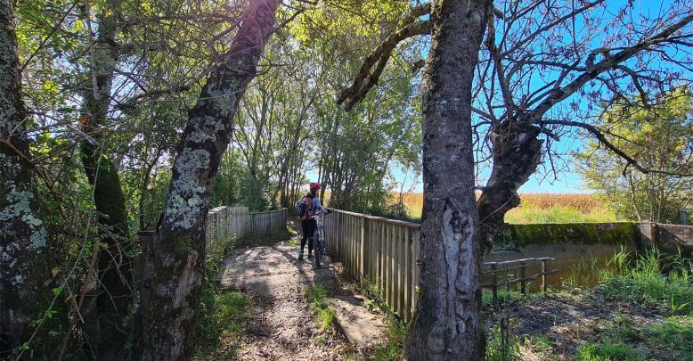 Eco-responsible tourism in Gironde and around  ...