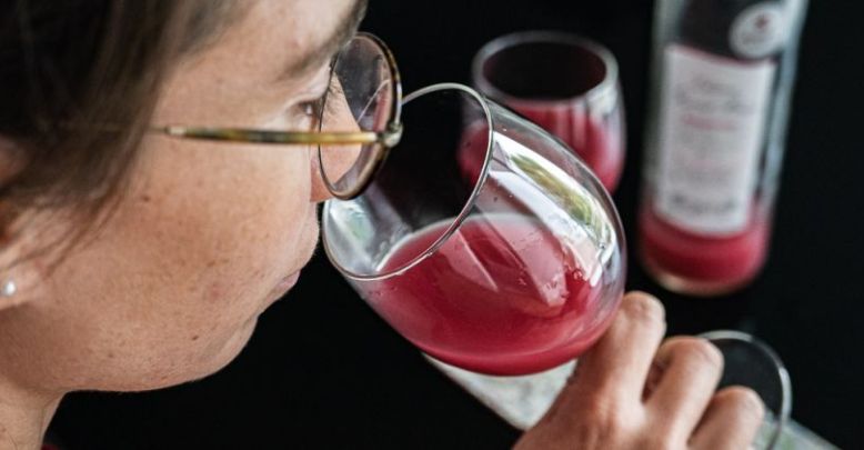 Discovery and tasting of "Bourru"or ephemeral wine