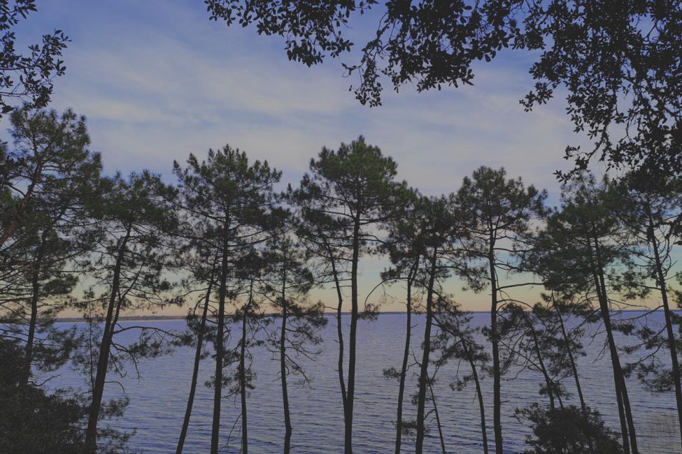 Camping Domaine La Résinière