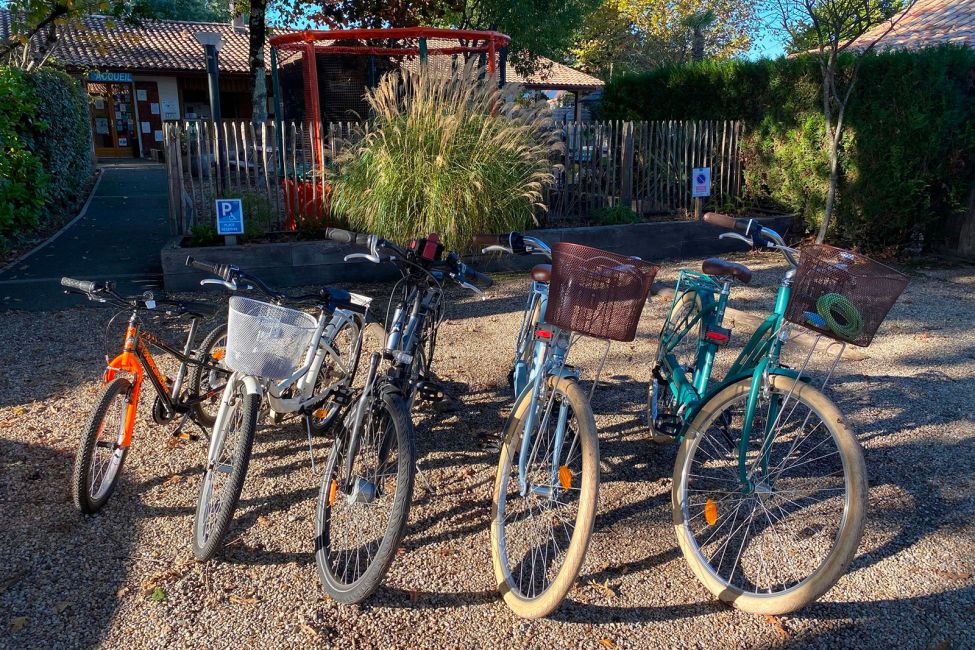 Les Écureuils Campsite