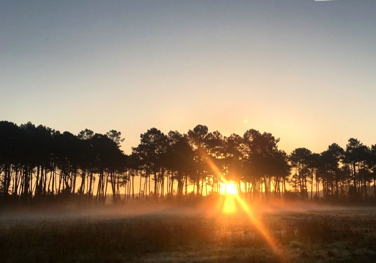 Good ideas and activities to enjoy the South M ...