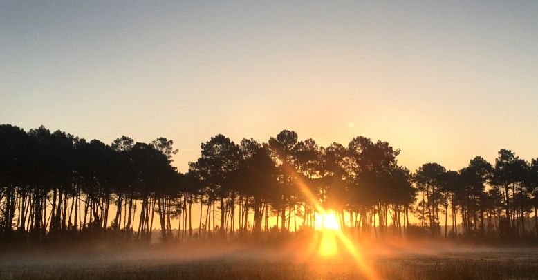 Good ideas and activities to enjoy the South M ...