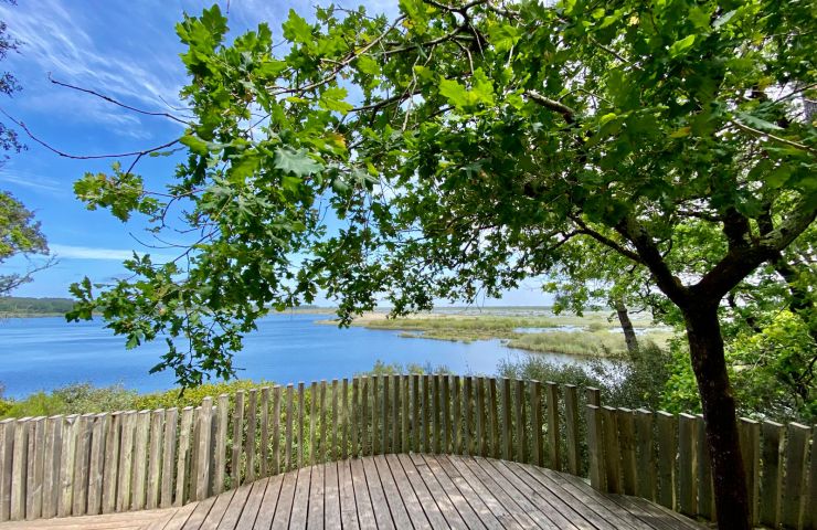 Réserve naturelle nationale de l'étang de Cousseau
