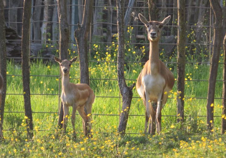 La Ferme Exotique, a fun and educational anima ...