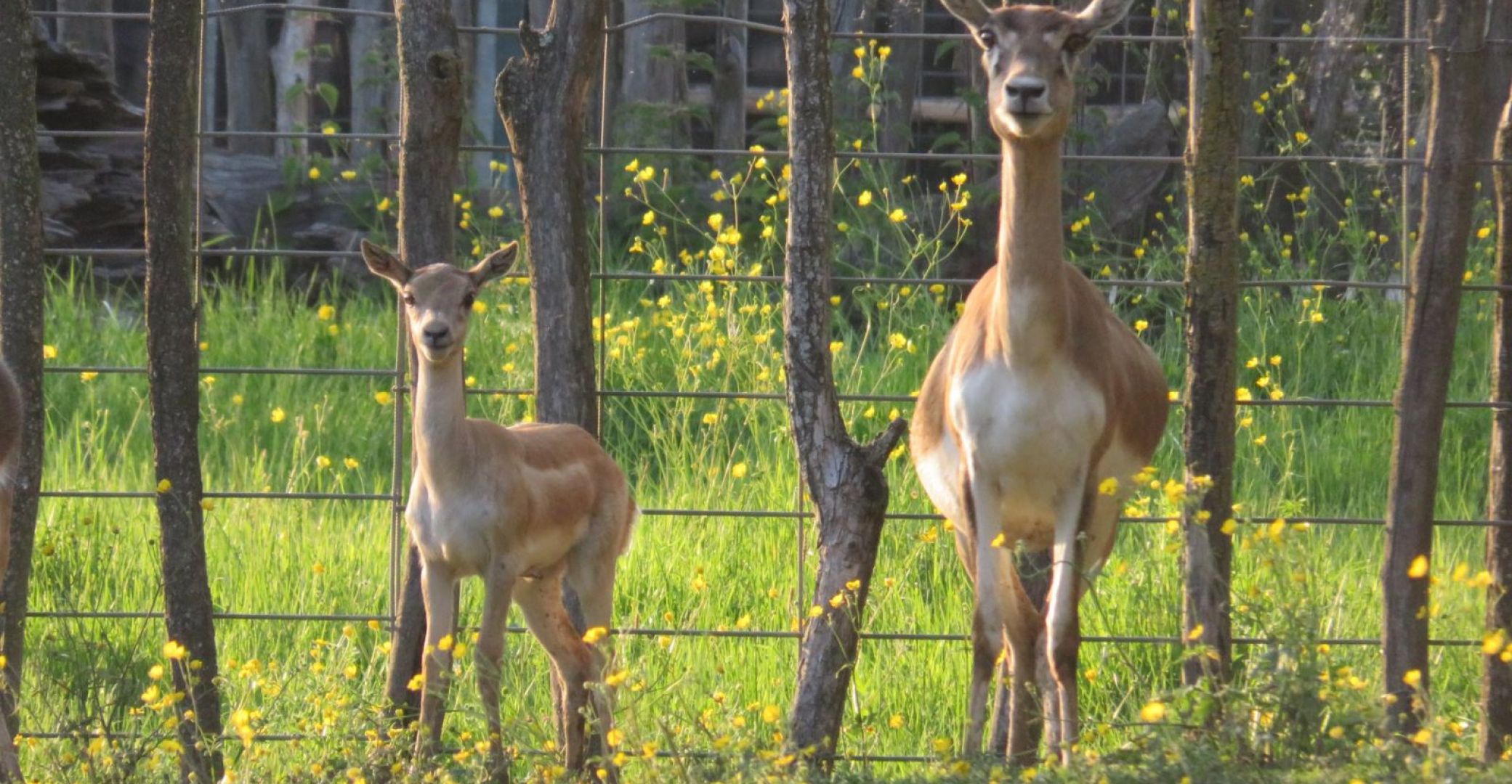 La Ferme Exotique, a  ...