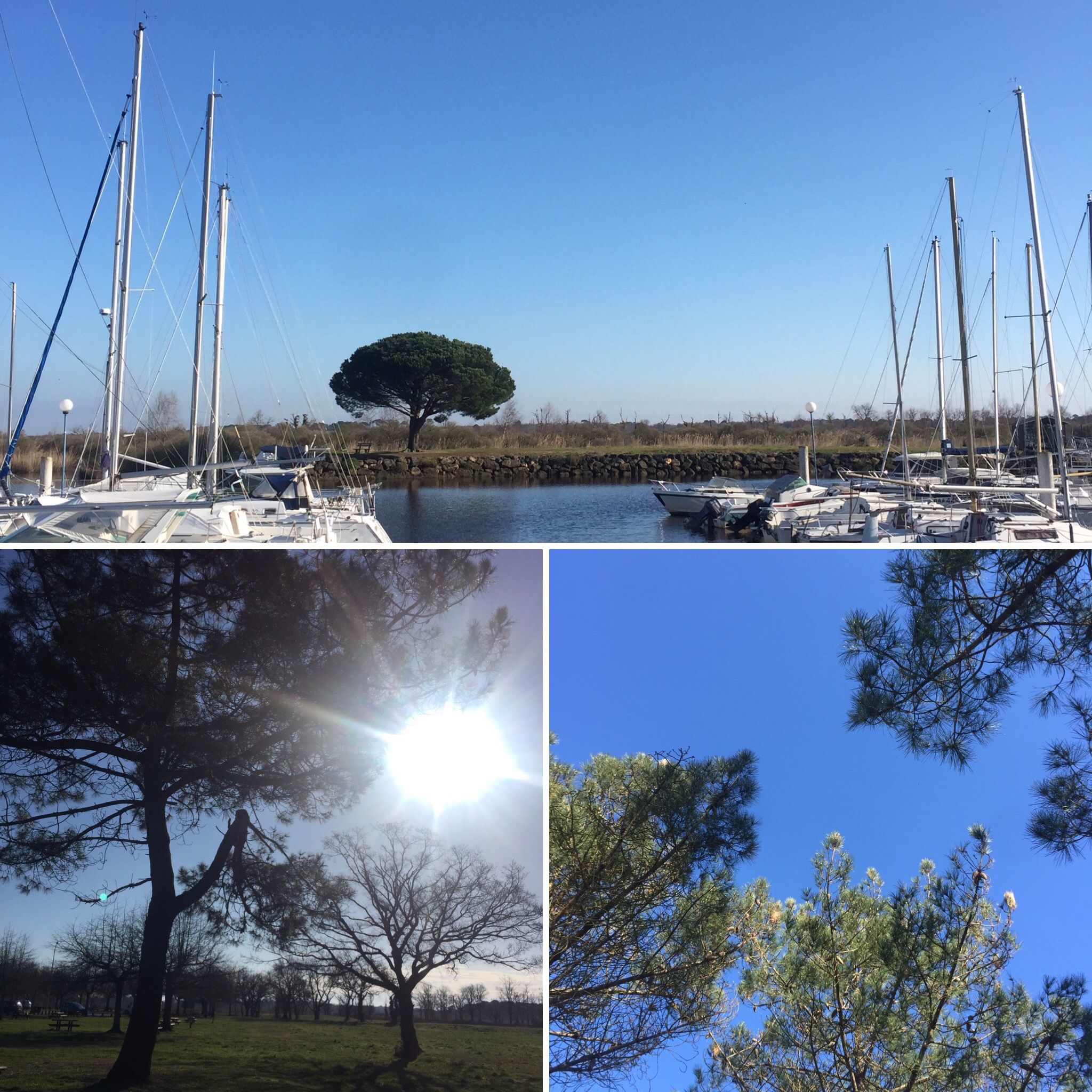 Les Pistes de Robin : un petit écrin de nature ...