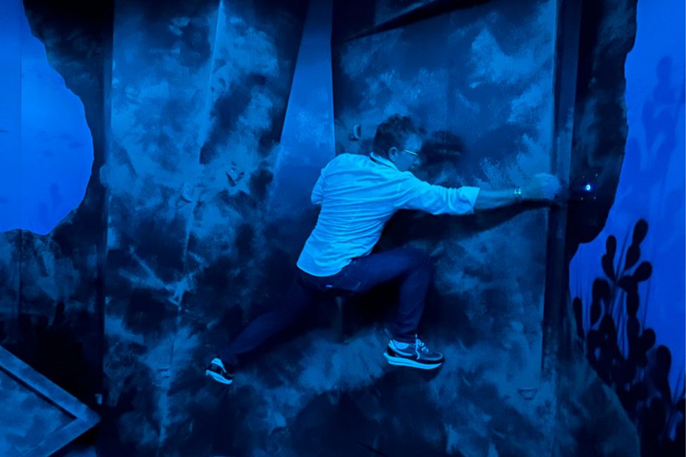 Ivazio Island Bordeaux