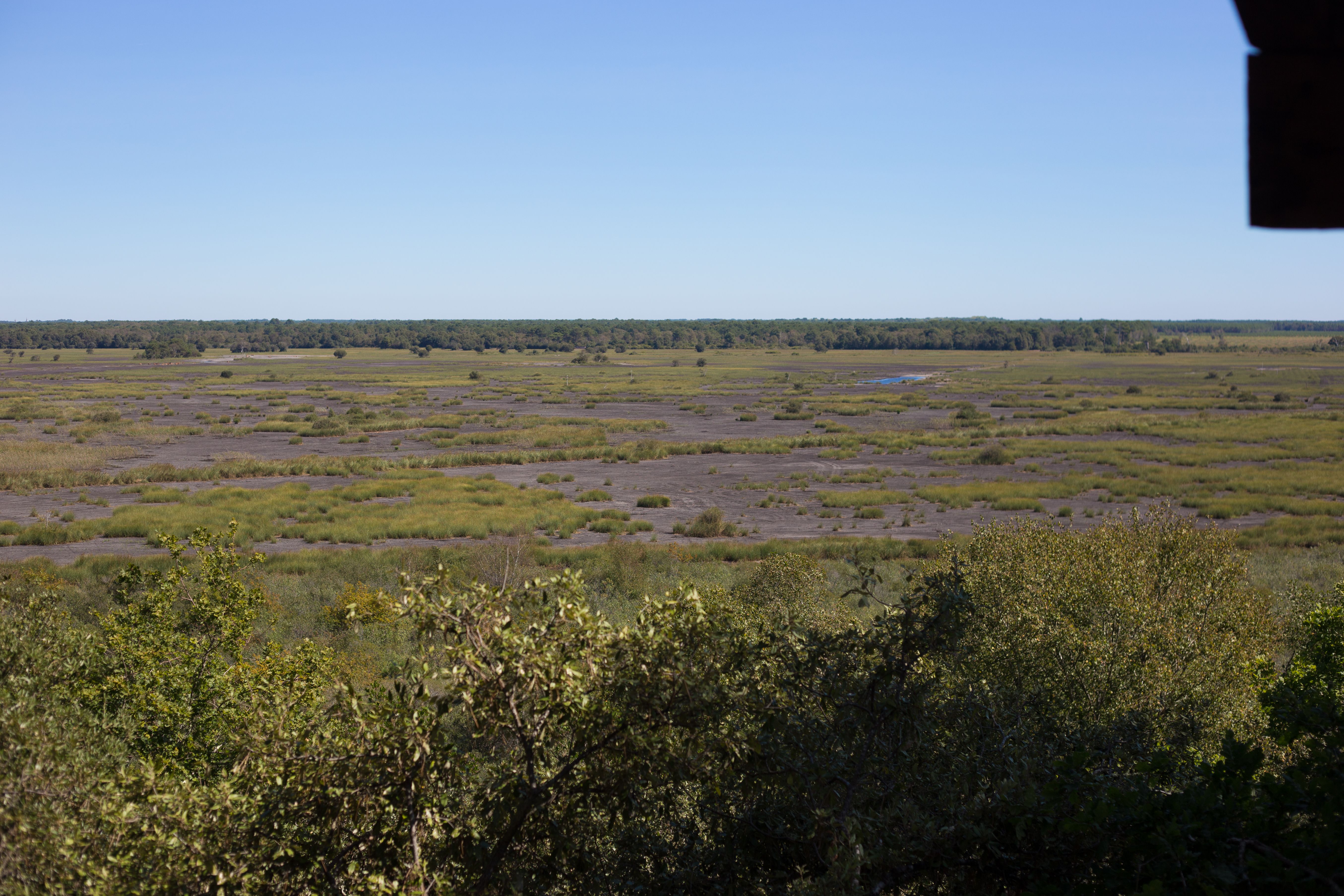 Le sentier de la Réserve Naturelle de l’étang  ...