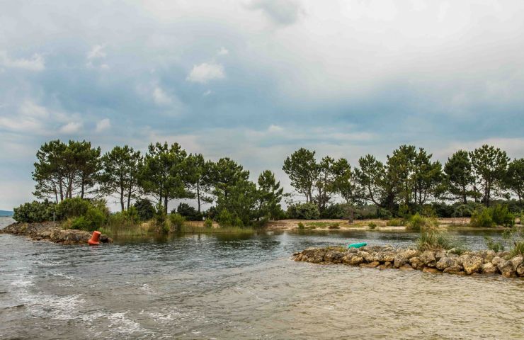 Rives Est du lac d'Hourtin