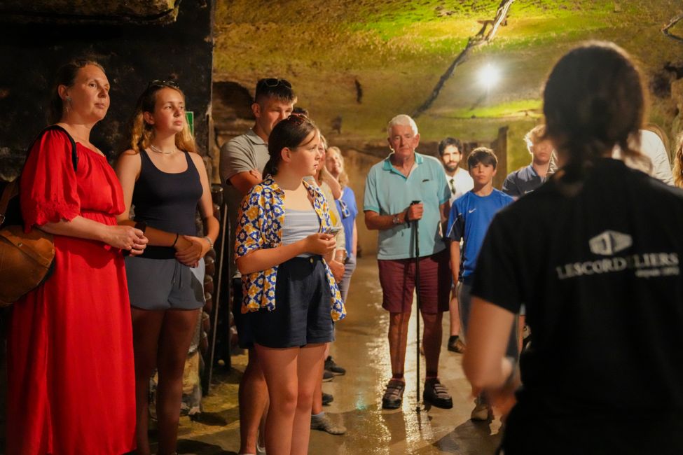 The Cloister of the Cordeliers