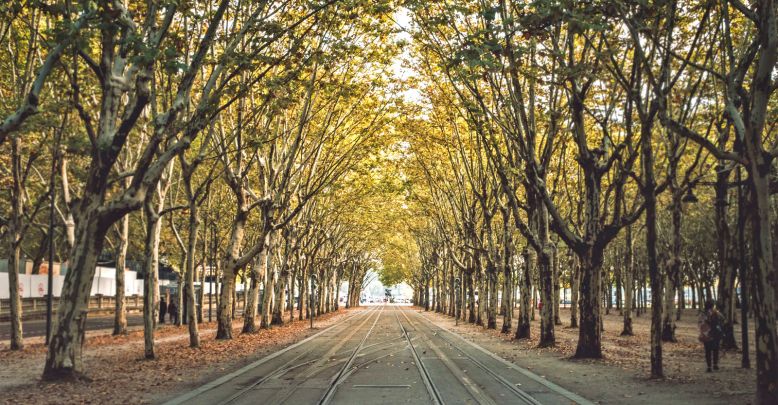 What to do on Sunday in Bordeaux?