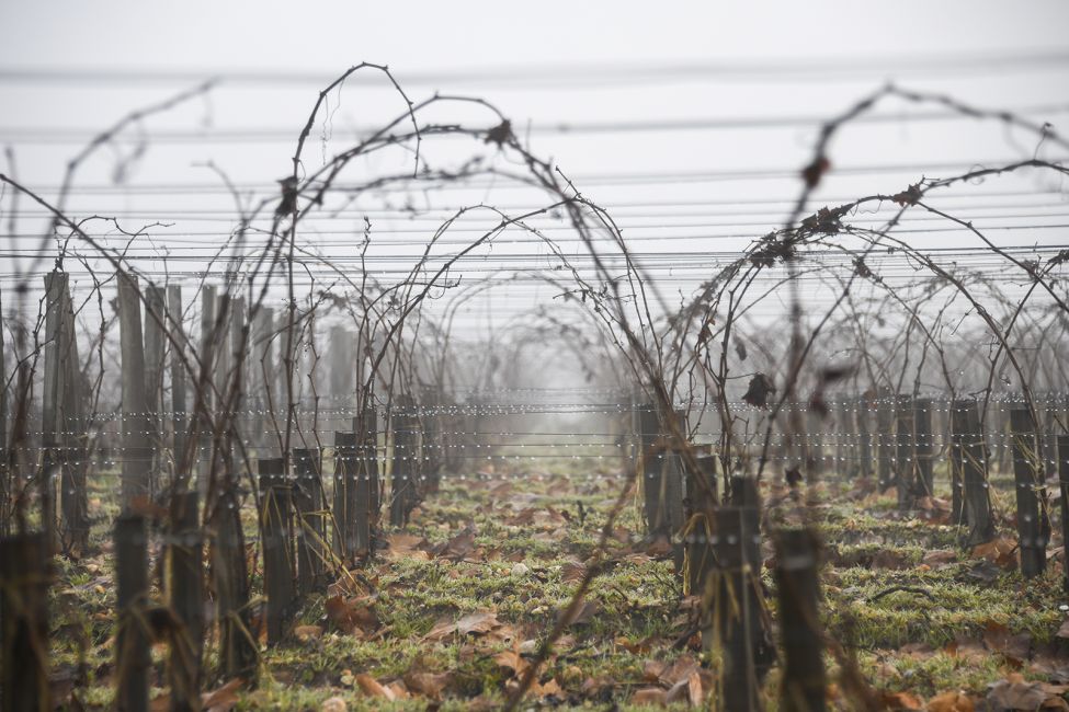 Maison du Vin et du Tourisme de MARGAUX