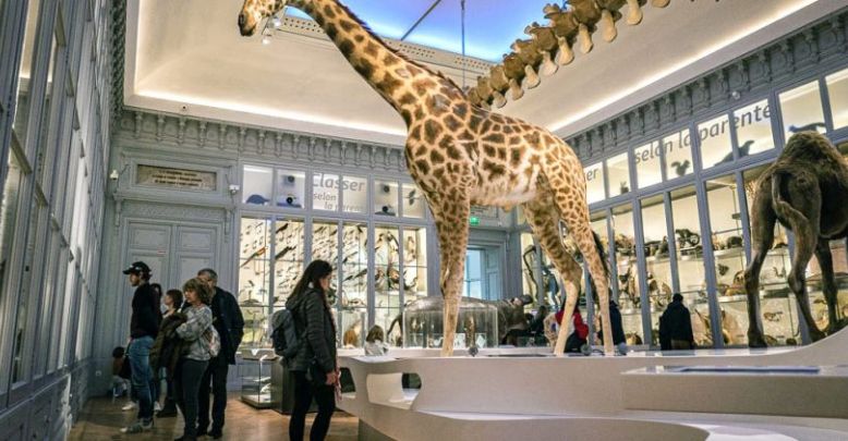 Visit of the Bordeaux Museum, next to the Publ ...