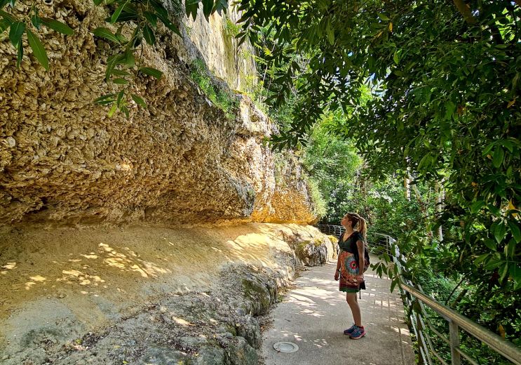 Sainte-Croix-du-Mont unusual visit of its foss ...