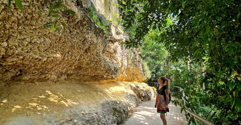 Sainte-Croix-du-Mont unusual visit of its foss ...
