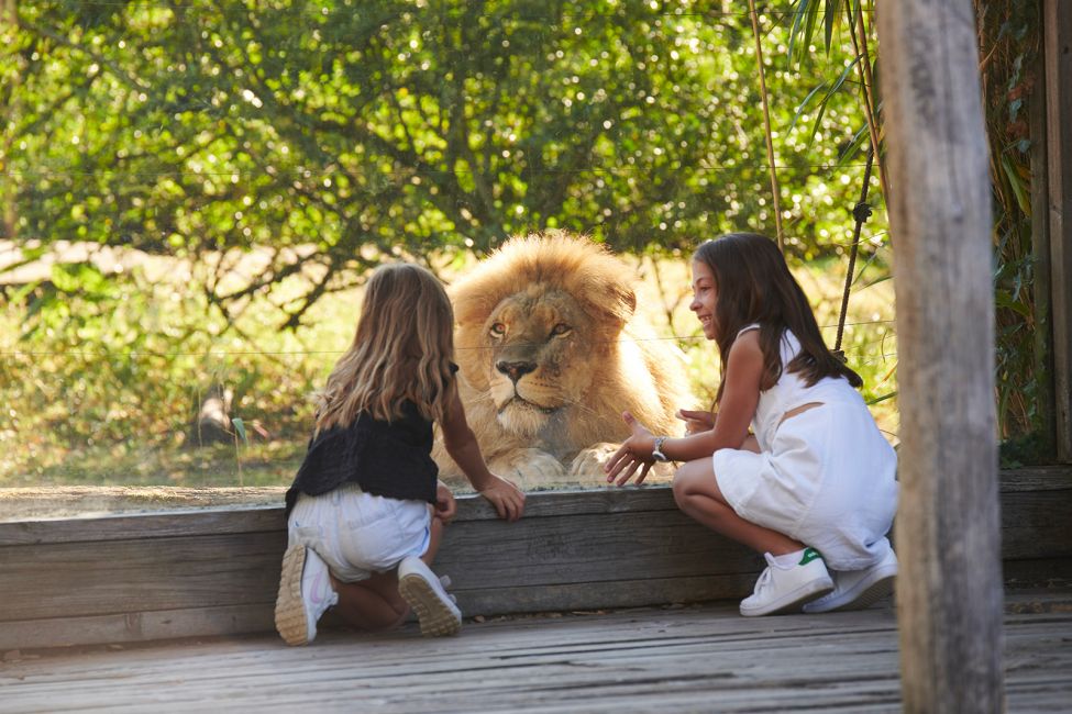 Bordeaux Pessac Zoo © Stéphane Adam