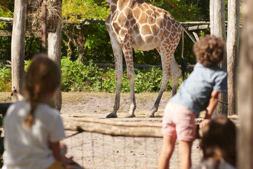 Bordeaux Pessac Zoo © Stéphane Adam