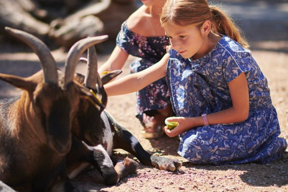Bordeaux Pessac Zoo © Stéphane Adam